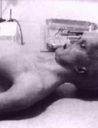 Alien Autopsy Ray Santilli Santilli Ant